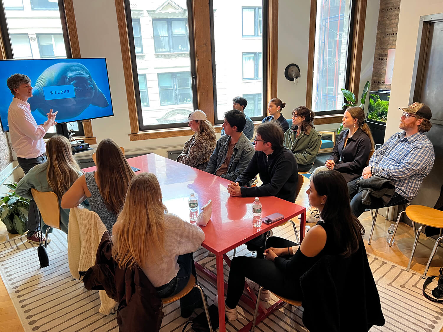 SMU_NYC-2023_walrus
